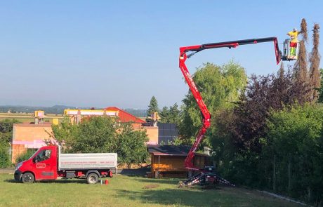 Kolb Sommerdienst beim Baumschnitt